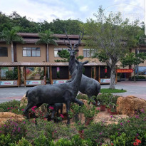 фото из отзыва ID 1883114