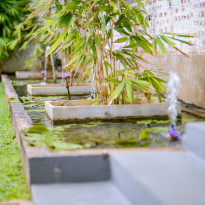 фото из отзыва ID 1884381