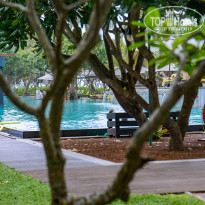 фото из отзыва ID 1884385