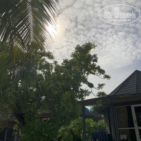 фото из отзыва ID 1884390