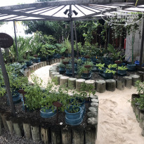 фото из отзыва ID 1884390