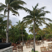 фото из отзыва ID 1884390