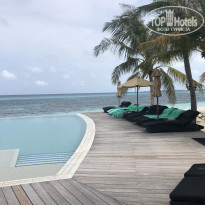 фото из отзыва ID 1884390