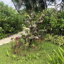 фото из отзыва ID 1884390