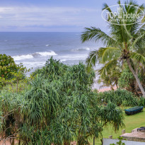 фото из отзыва ID 1884411