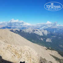 фото из отзыва ID 1884431