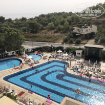 фото из отзыва ID 1884656