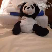 фото из отзыва ID 1884167