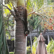 фото из отзыва ID 1884725