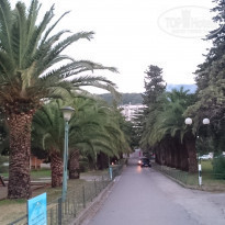 фото из отзыва ID 1884818