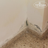 фото из отзыва ID 1884874