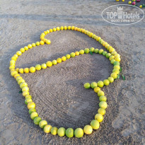 фото из отзыва ID 1884963