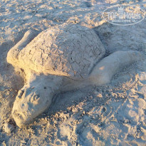 фото из отзыва ID 1884963