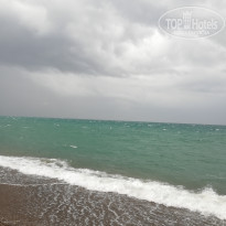 фото из отзыва ID 1884970