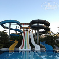 фото из отзыва ID 1884970