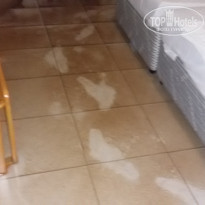 фото из отзыва ID 1885024