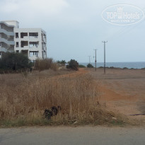 фото из отзыва ID 1885024