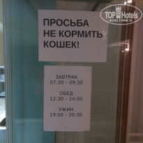 фото из отзыва ID 1885107