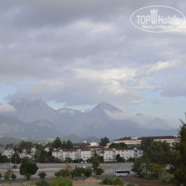 фото из отзыва ID 1885175