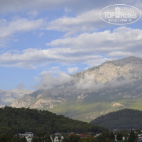 фото из отзыва ID 1885175