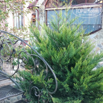 фото из отзыва ID 1885195