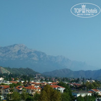 фото из отзыва ID 1885290