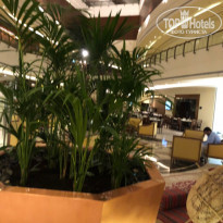 фото из отзыва ID 1885370