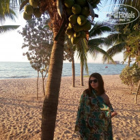 фото из отзыва ID 1885016