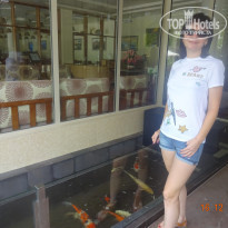 фото из отзыва ID 1883402