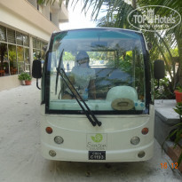 фото из отзыва ID 1883402