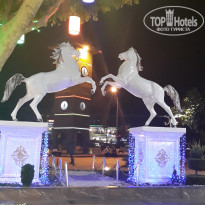 фото из отзыва ID 1884609