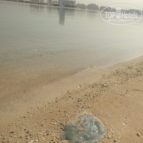 фото из отзыва ID 1885491