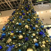 фото из отзыва ID 1885512