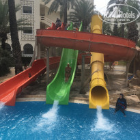 фото из отзыва ID 1885482