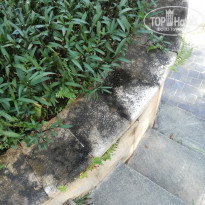 фото из отзыва ID 1885709