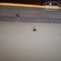 фото из отзыва ID 1885709