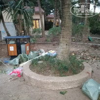 фото из отзыва ID 1885709