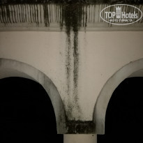 фото из отзыва ID 1885709