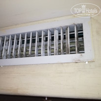 фото из отзыва ID 1885709