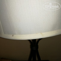 фото из отзыва ID 1885709