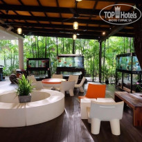 фото из отзыва ID 1885747