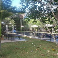 фото из отзыва ID 1885747