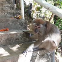 фото из отзыва ID 1885345