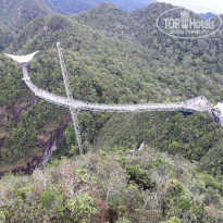 фото из отзыва ID 1885345