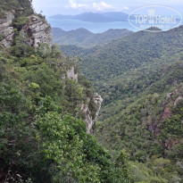 фото из отзыва ID 1885345