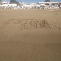 фото из отзыва ID 1885803