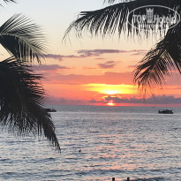 фото из отзыва ID 1885826