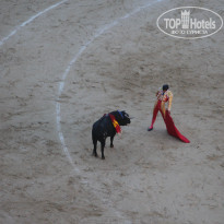 фото из отзыва ID 1885903