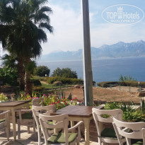 фото из отзыва ID 1885929