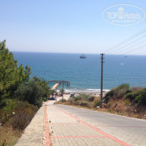 фото из отзыва ID 1886062